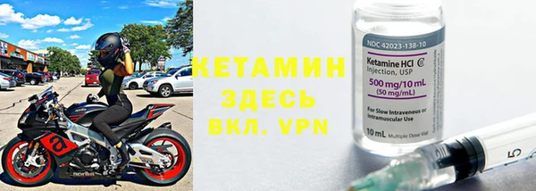индика Белокуриха