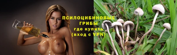 гашик Белоозёрский
