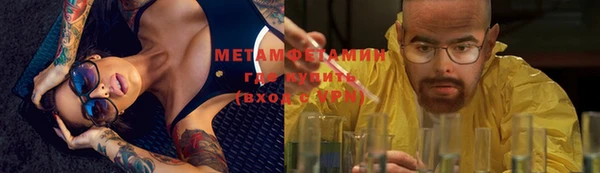 индика Белокуриха