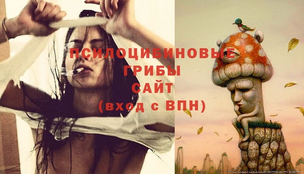 ПСИЛОЦИБИНОВЫЕ ГРИБЫ Балабаново