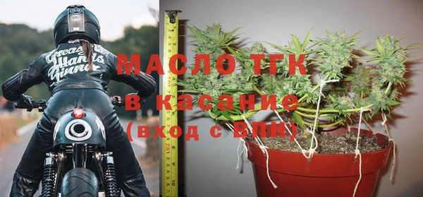 индика Белокуриха
