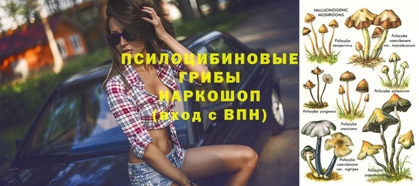 индика Белокуриха