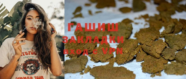 индика Белокуриха