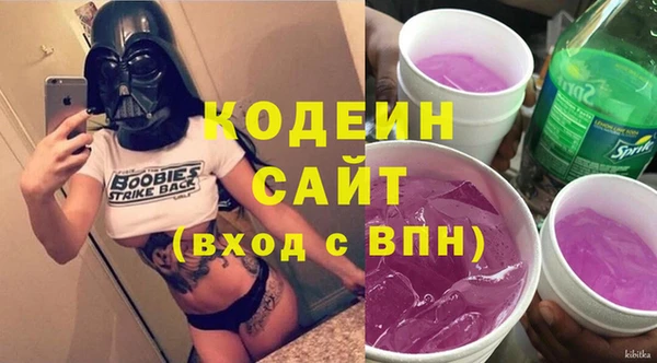 индика Белокуриха