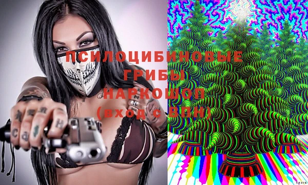 индика Белокуриха