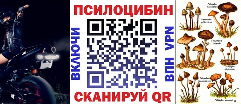 Псилоцибиновые грибы прущие грибы  Салаир 